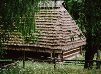 Hütte im Wald