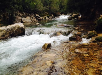 Fluss