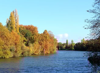 Seine, Fluss, Herbst