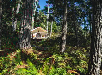Glampingzelt im Wald