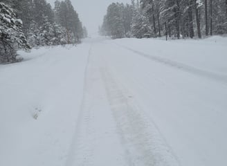 Large snowfall on a road