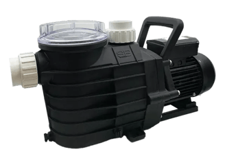 swimming pool pump noisy repair and supply new motor