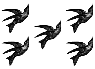 Viele kleine Vögel aus dem Logo-Design zur Dekoration