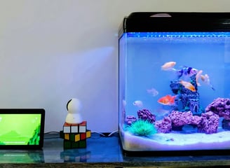 Pecera iluminada con LED junto a una tablet