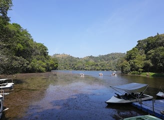 Pookode Lake