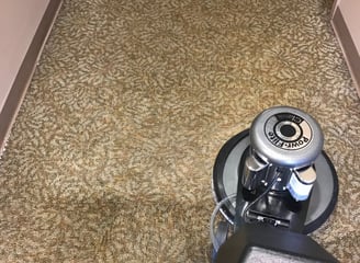 Commercial Carpet Cleaning in Ormond Beach, Florida