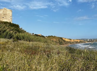 Beach torre di gaffe , coliving digital nomads