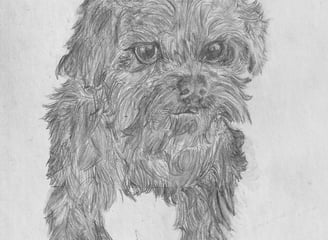 a dog is shown in this drawing of a dog