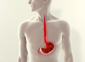 Upper GI endoscopy GASTRO FOUNDATION