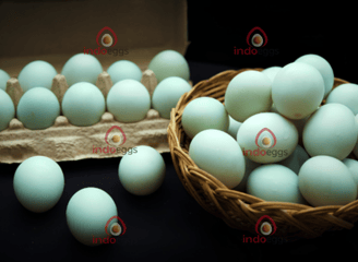 Duck and quail eggs are less common but offer unique flavors and textures. Duck eggs are larger.