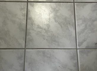 before and after tile and grout cleaning