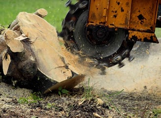Stump Grinding