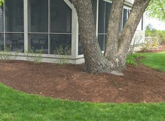 An outdoor patio surrounded by a tree which are both surrounded by mulch
