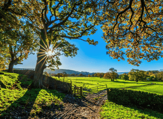 regularização de imóveis rurais