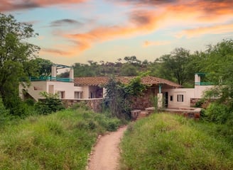 New Year in Trees N Tigers Sariska