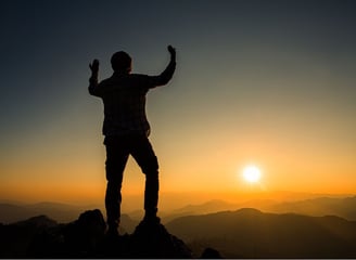 afla prin consiliere holistica care este scopul si direcția