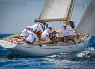 Palynodie, la beauté et la tradition de la voile