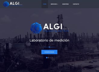 portada de inicio de sitio web de empresa ALGI