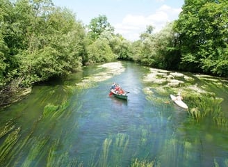 1 Barque et 1 canoë sur une rivière presque recouverte de plantes vertes et bordée par une forêt