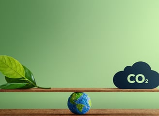 Net-zero roadmap