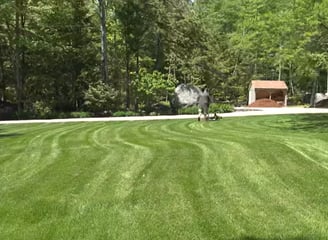A person using a lawnmower to keep the land in good shape