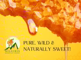 a honey comb prue wild natural honey yammy in Ooty