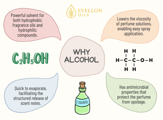 Infographic explaining why alcohol is used in perfume, with benefits and Evellon Oils branding.