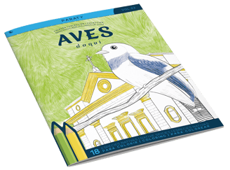 Aves Daqui Paraty Volume 2 – descubra as ilustrações de aves nativas e paisagens  de Paraty.