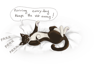 drawing of a cat laying on his back