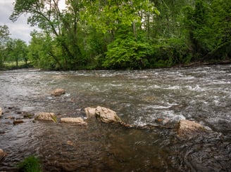 Sycamore Shoals Elizabethton TN Fly Fishing