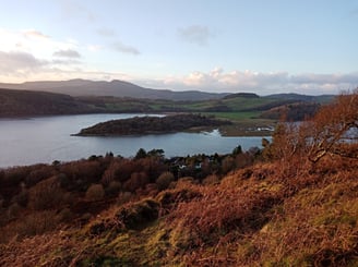 Picture of a lake