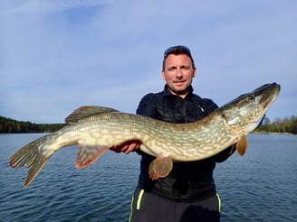 avec fishing escape sweden un homme à pêché un gros brochet en suède.