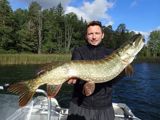 un pêcheur est sur un bateau sur un lac suédois, il tient un gros brochet .