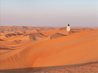 anantara-qasr-al-sarab-sand-dunes-model