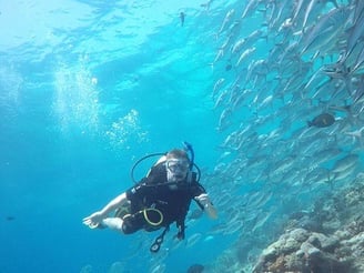 A beautiful underwater world at Kapalai