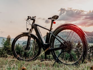 Abgestelltes E-Bike vor Naturkulisse