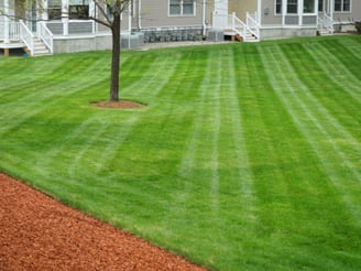 Lawn care