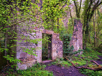 Brock Mill ruins in dense woodland