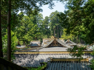 Japanese temples roofs forest Nikko