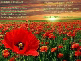 Gelincik Tozları, Şiir, Bülent Özcan