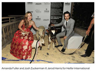 Amanda Fuller and Josh Zuckerman © Jerod Harris for Heifer International
