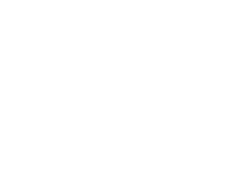 SIS Logo -Qi Team