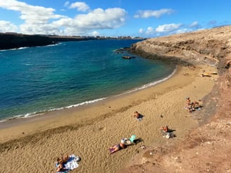 Playa de Aguadulce Gran Canaria Hund