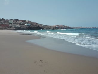 Playa de Bocabarranco Dog Gran Canaria
