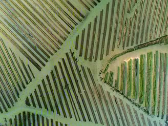 Drone parcs à huitres