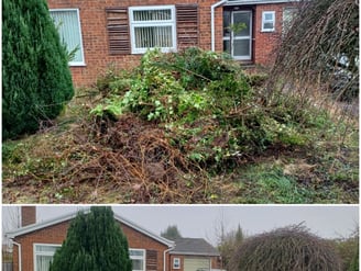 garden waste cleared in a garden clearance carried out by hiltons rubbish removals