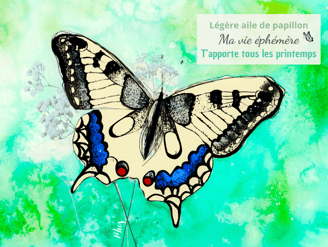 a butterfly butterfly on a green background