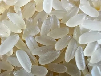 swarna rice non basmati export