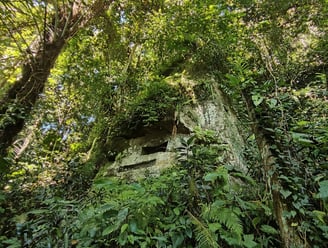 Bogani Explorer