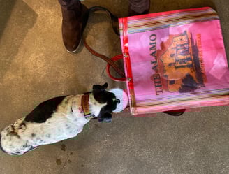 Shopping the Alamo with my Bestie Gigi